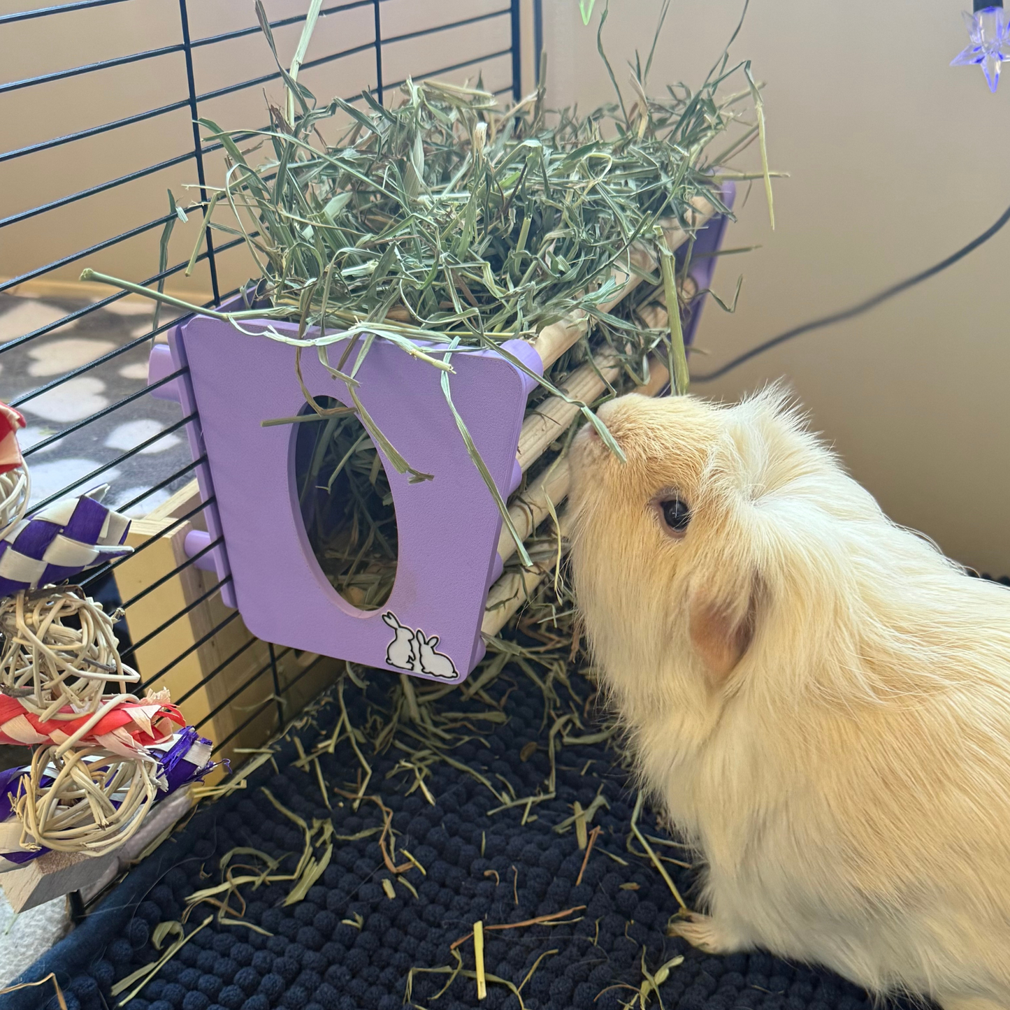 Hay Rack - Pastel Green