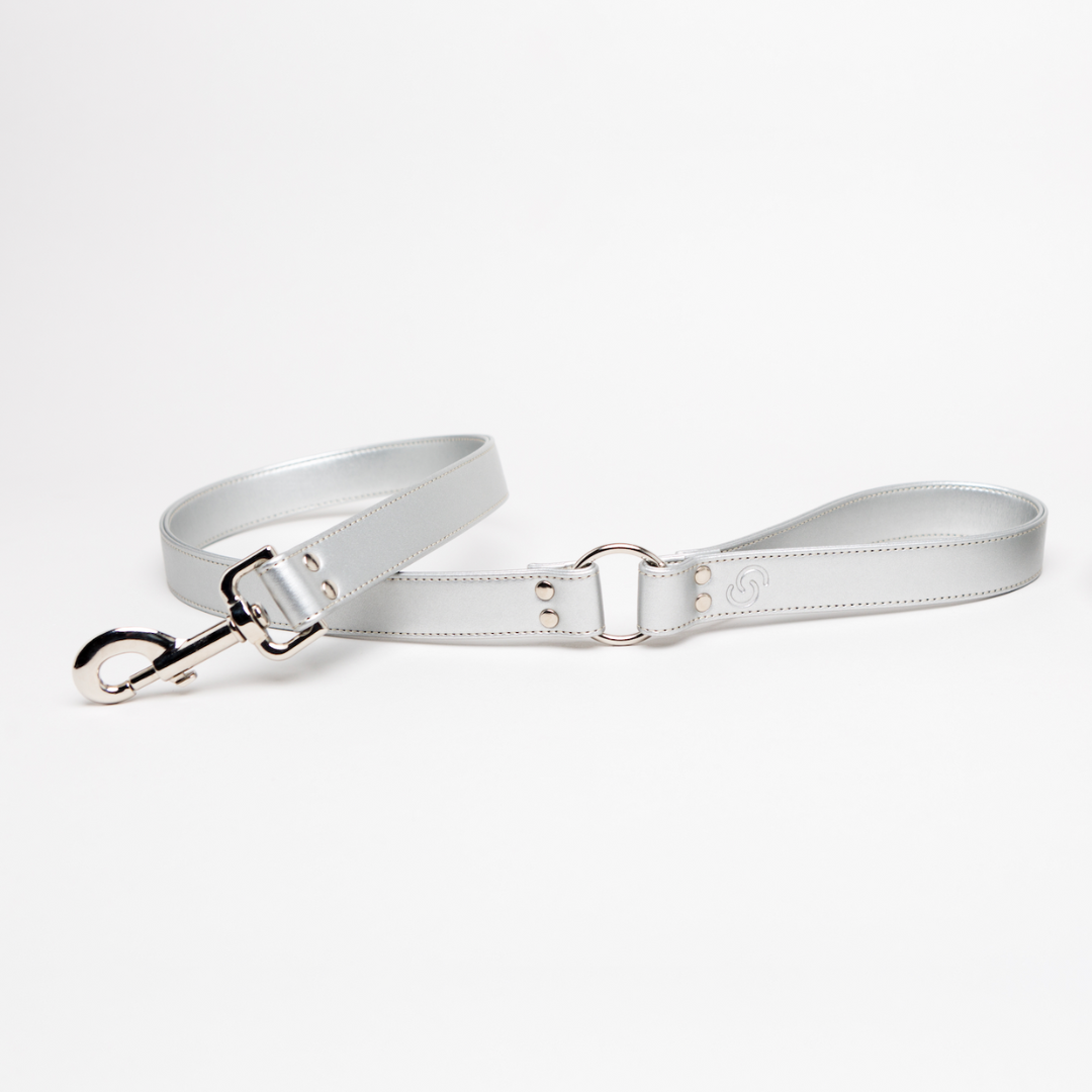 Silver apple leather lead