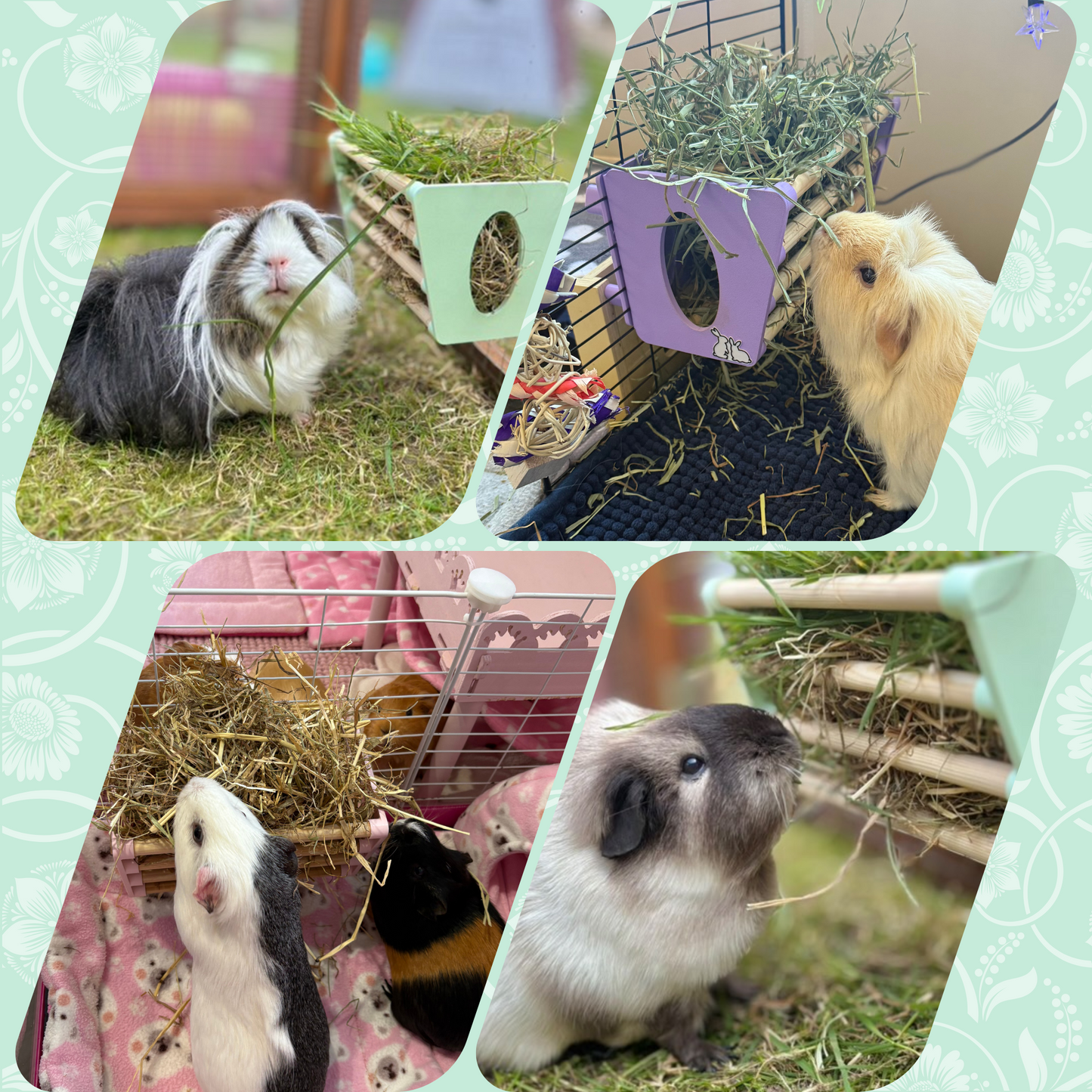 Hay Rack - Pastel Green