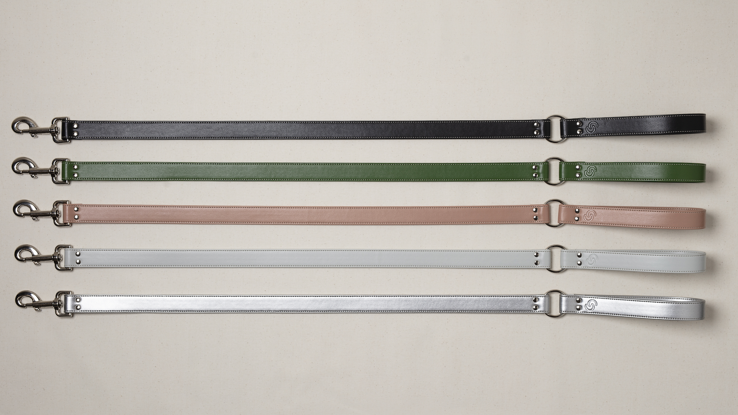 Silver apple leather lead